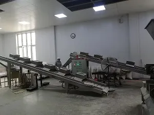 Линия, установленная на объекте заказчика